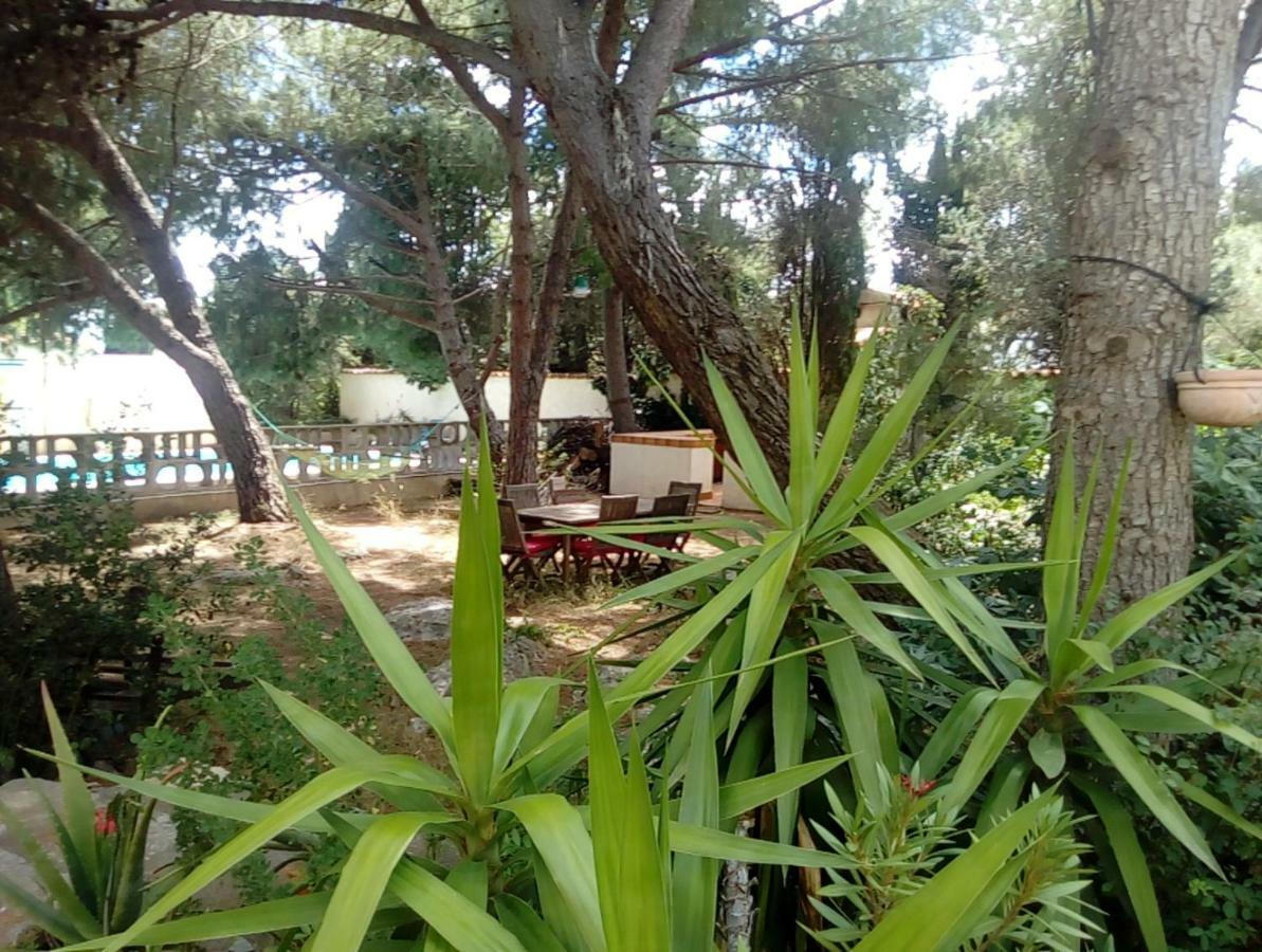 Le Paradis De Valerie Sète Zewnętrze zdjęcie